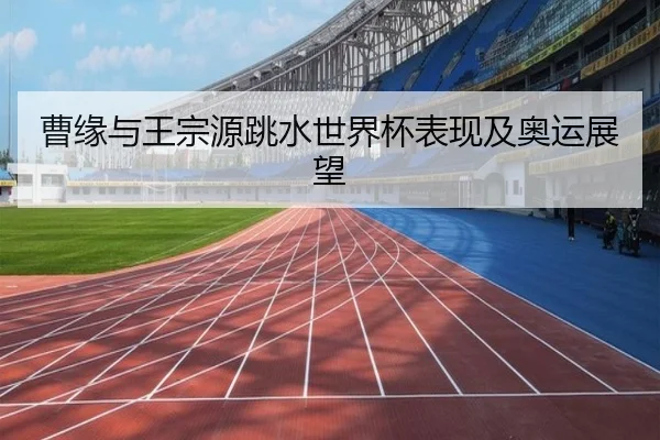 曹缘与王宗源跳水世界杯表现及奥运展望